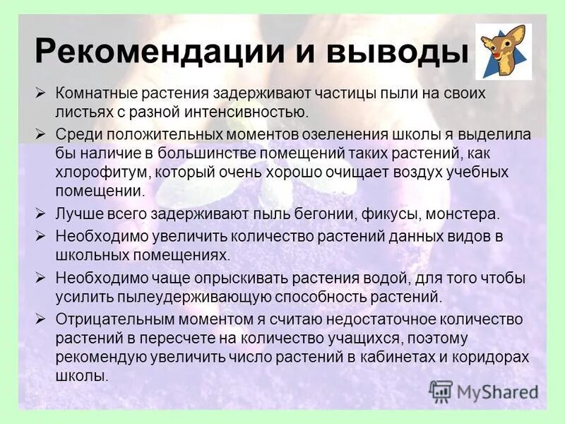 Функции которые выполняет школа. Функции которые выполняет школа