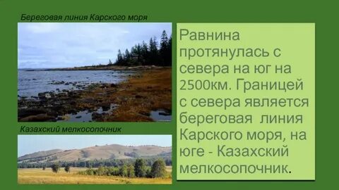 Восточно европейская равнина экологические проблемы