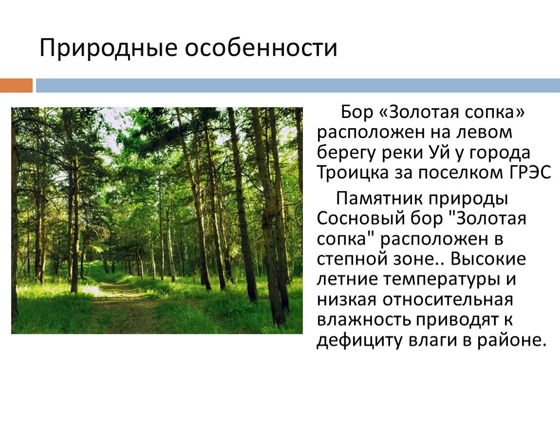 Особенности природных парков. Сосновый Бор Золотая сопка Троицк номер земельного участка. Природные особенности Новгорода. Сосновый Бор Золотая сопка Троицк где расположен на карте.