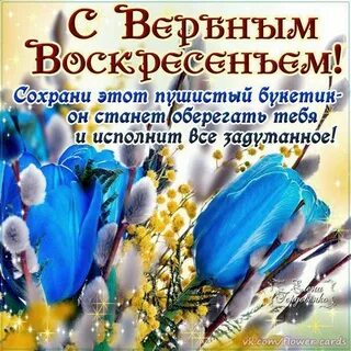 Верный день