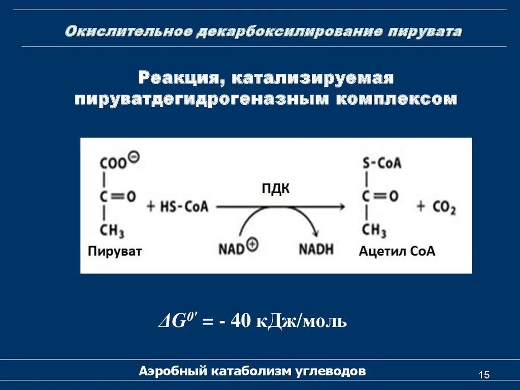 Окислительное декарбоксилирование пирувата реакции. Схема реакции окислительного декарбоксилирования пирувата. Уравнение окислительного декарбоксилирования ПВК. Реакция декарбоксилирования пирувата.