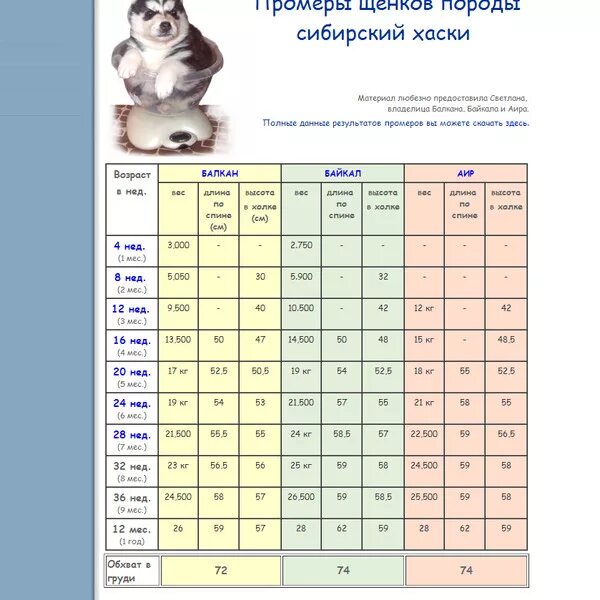 Норма веса щенка лабрадора в 5 месяцев. Вес хаски в 2 года. Вес сибирской хаски по месяцам таблица. Хаски 3.5 месяца рост и вес.