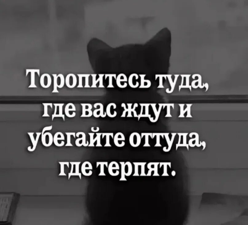 Торопитесь туда где вас ждут и убегайте оттуда где вас терпят. Уходите оттуда где вас не ждут. Поторопитесь к тем кто ждет. Спешите туда где вас ждут. Туда где не ждали туда где забыли