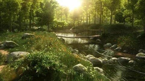 Scene environment