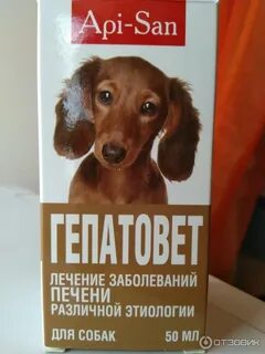 Гепатовет для собак инструкция