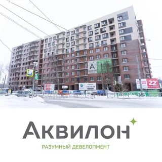 Аквилон leaves