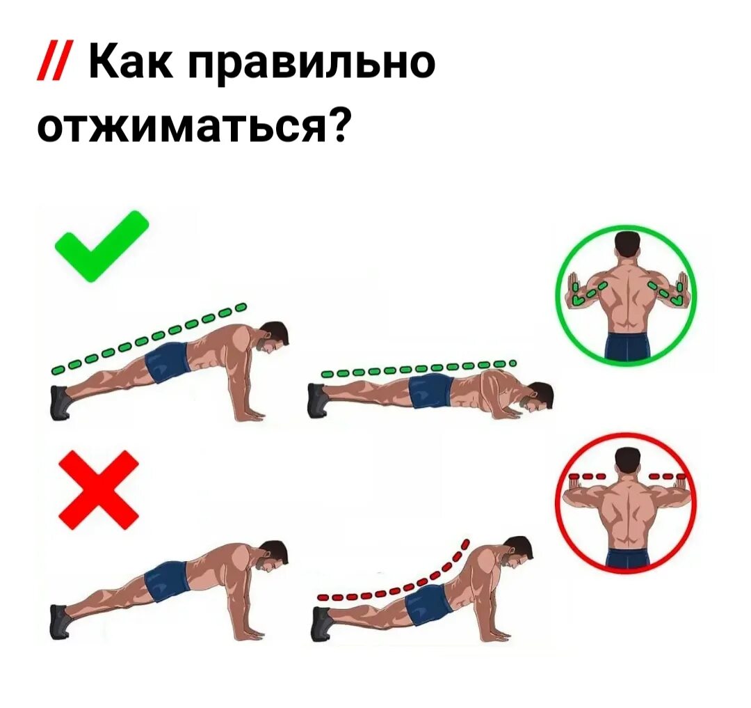 Техника отжиманий от пола гто