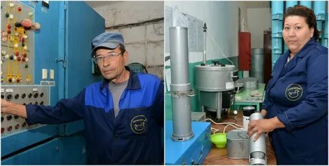 Почему работники элеватора