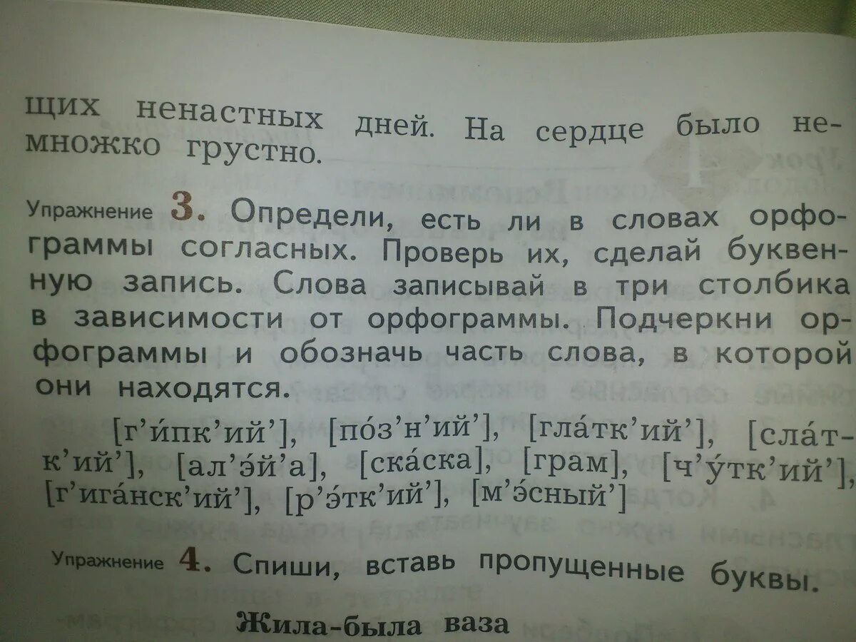 Как понять записать слова буквами. Буквенная запись слова. Как сделать буквенную запись слов. Определи есть ли в словах орфограммы. Запишите слова в три столбика.