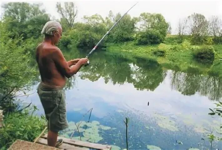 Антонов осенняя рыбалка. Рыбалка александров из смоленска