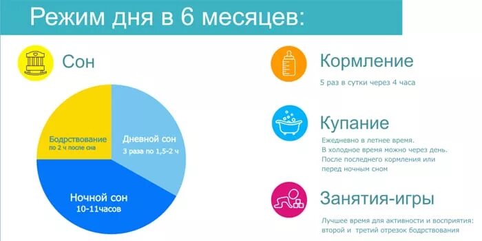 Курс 3 6 месяцев. Режим дня ребёнка в 6 месяцев на грудном вскармливании. Режим сна 6 месячного ребенка. Режим ребенка в 6 месяцев распорядок дня. Режим сна 6 месячного ребенка на грудном вскармливании.