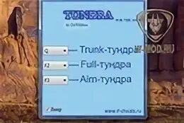Трейнер тундра