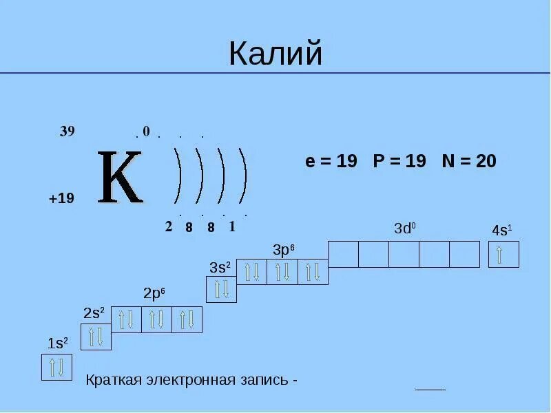 Дайте характеристику элемента калия по плану. Строение электронных оболочек атомов калия. Калий строение электронной оболочки. Электронная схема атома калия. Схема строения атома калия.