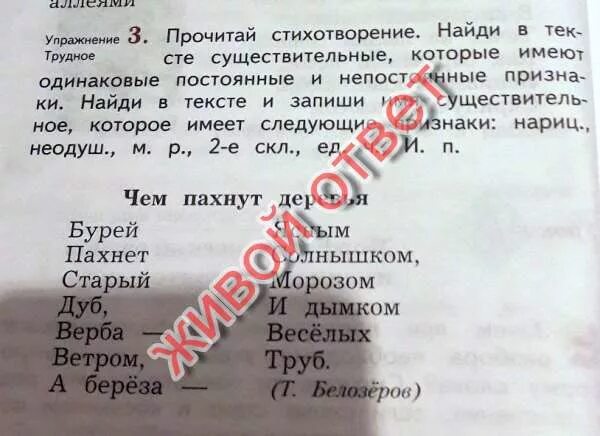 Прочитай стихотворение Найди в тексте существительные которые. Отметь существительные в тексте