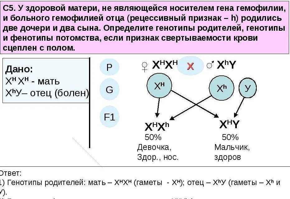 От какого родителя передается наименьшее количество