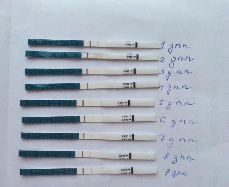 Беременность после перенесенного. Эко тесты на беременность после переноса эмбриона. Эко тест на беременность после подсадки. Тест на беременность на 7 день после переноса эмбрионов. Тест на беременность на 9 день после переноса эмбриона.