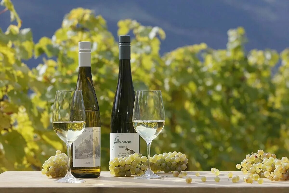 Ich finde wein lecker