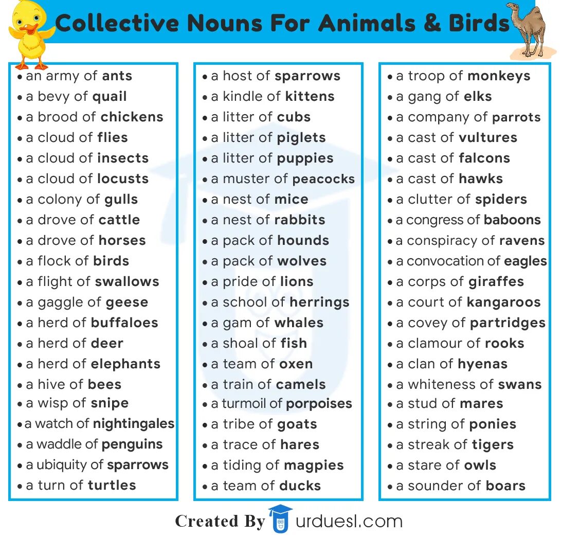 Collective Nouns в английском языке. Collective Nouns animals. Collective Nouns примеры предложений. Collective Nouns in English.