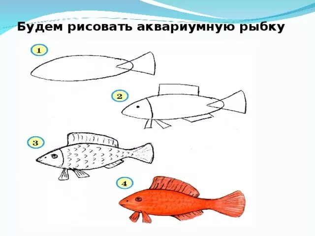 План рыбы старшая группа. Рыбки плавают в аквариуме рисование средняя группа. Рыбки в аквариуме рисование. Рисование рыбки в средней группе. Аквариумные рыбки рисование в средней группе.