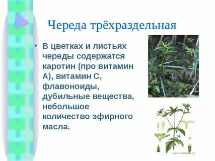 Географический процесс это длительная череда чего