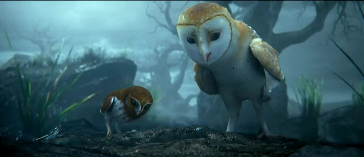 Ga hoole guardians the owls legend. Легенды ночных стражей. Легенды ночных стражей мультфильм 2010. Легенды ночных стражей Эглантина. Легенды ночных стражей Сорен.