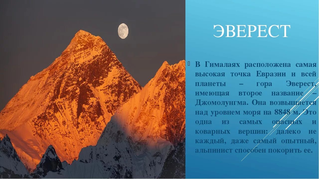 Назовите высочайшую точку назовите высочайшую точку
