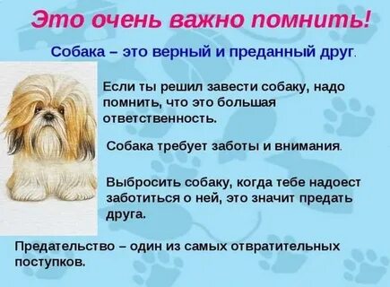 Цу перевод