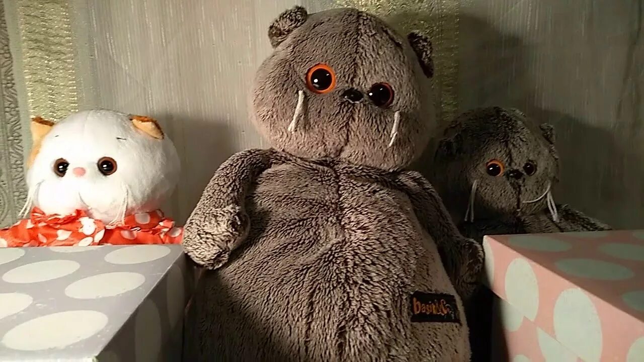 Видео школа басиков. Видео школа басиков. Канал семейка басиков школа басиков. Играем в школу с басиками. Видео школа басиков.