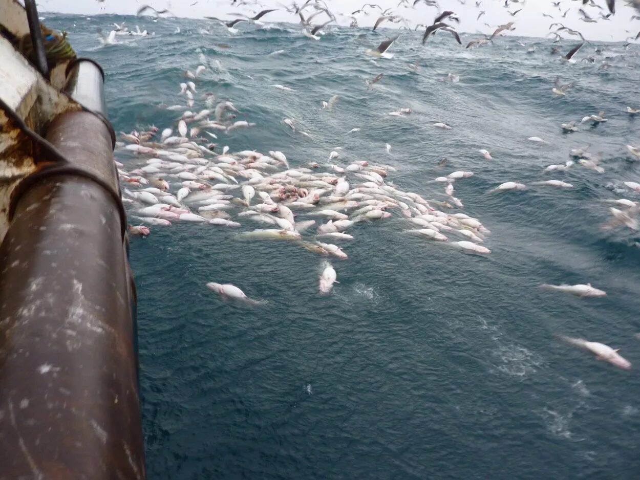Рыбалка в мурманске териберка. Териберка рыбалка в баренцевом море. Териберка рыбалка в баренцевом море. Териберка баркас. Баренцево море.
