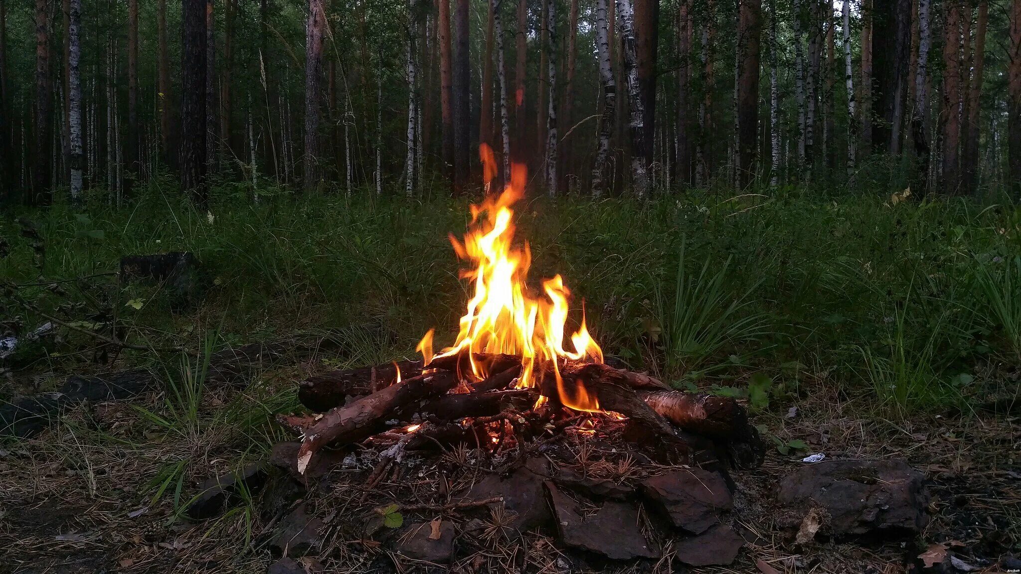 Костер в лесу. Кострище в лесу. Огонь на природе. Горит костер. Кидать в огонь