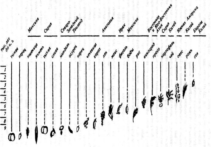 Хронология одомашнивания животных. Центры доместикации растений. Доместикация схема. Таблица одомашнивания растений. Когда начался процесс одомашнивания растений