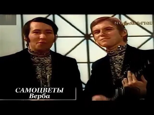 Самоцветы верба