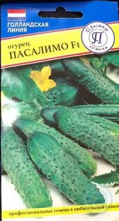 Огурцы сорт пасалимо