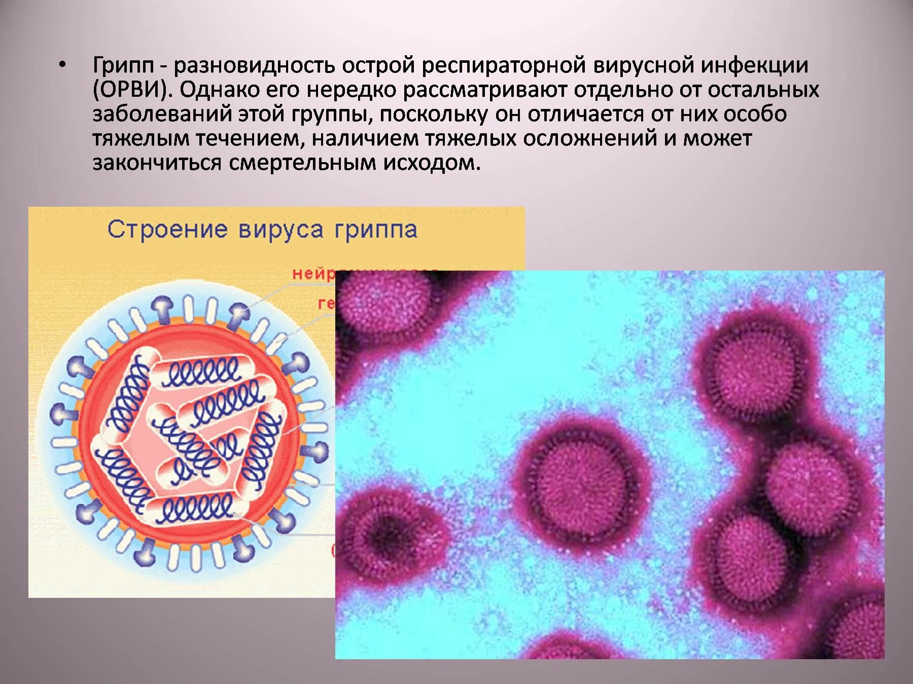 Сообщение о вирусном заболевании 5 класс