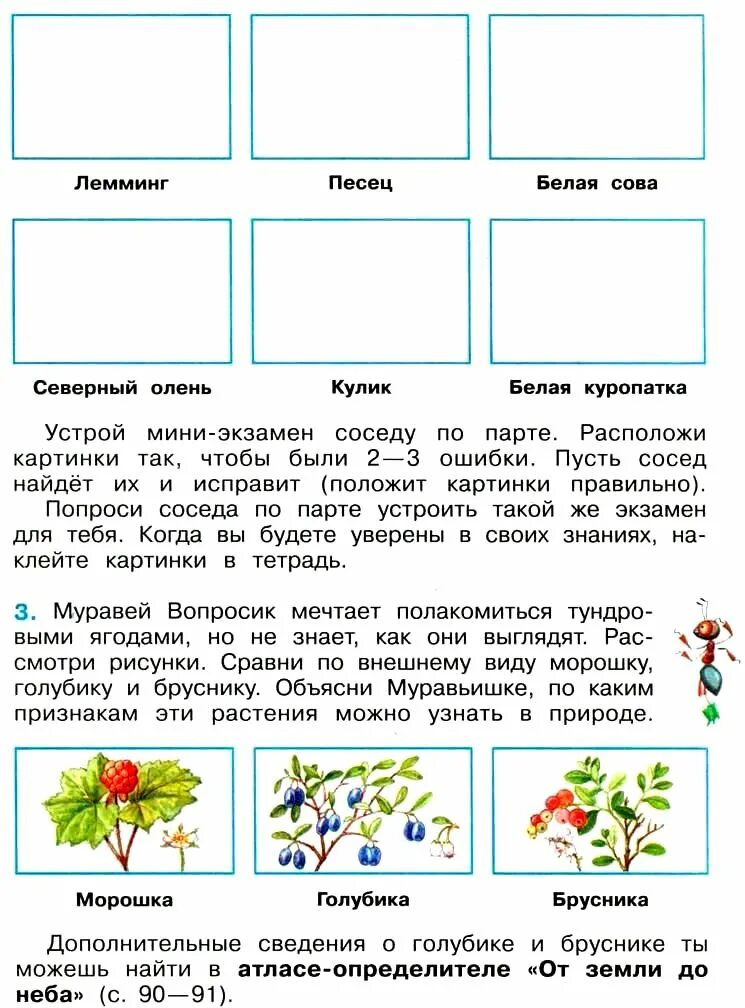 Окружающий мир 4 класс стр 34 39. Тундра окружающий мир 4 класс учебник Плешаков. Задания по окружающему миру 4 класс. Задание 4 по окружающему миру 4 класс. Задание по окружающему миру четвёртый класс.