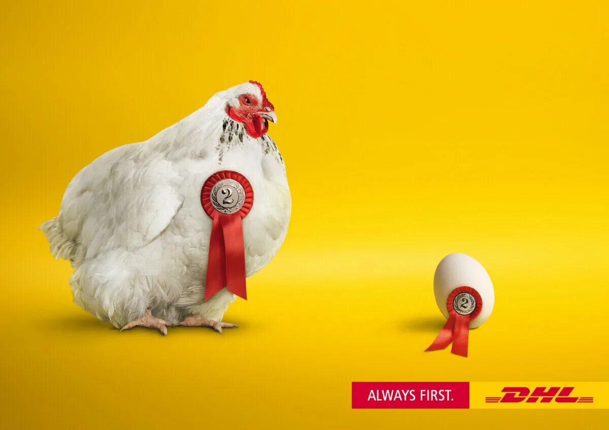 Реклама курочки. Креативная реклама. Креативная курица. Креативная реклама курицы. Реклама курицы.
