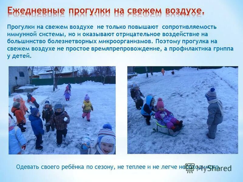 Свежего воздуха род