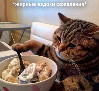 Почему кот вкусно пахнет