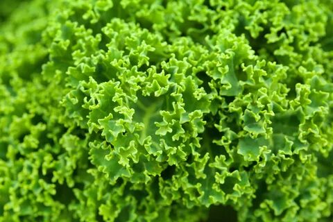 Vegetable stearate