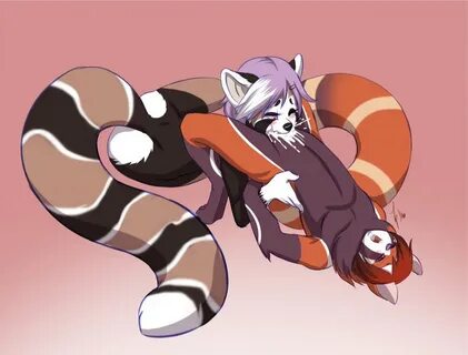 Red panda porn comic - 🧡 FurryBooru - animal genitalia animal penis big pe...