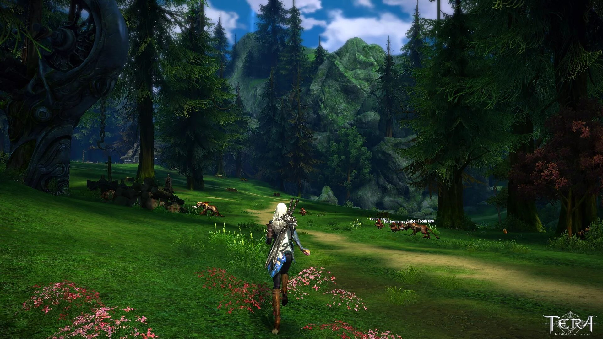 Tera the exiled realm of arborea. Tera the exiled realm of arborea. Tera: the exiled realm of arborea обои. Tera the exiled realm of arborea. Tera player наушники.