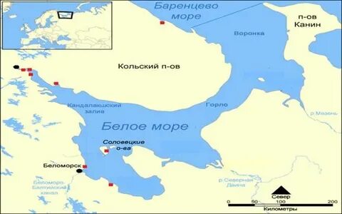 Полуострова белого моря список