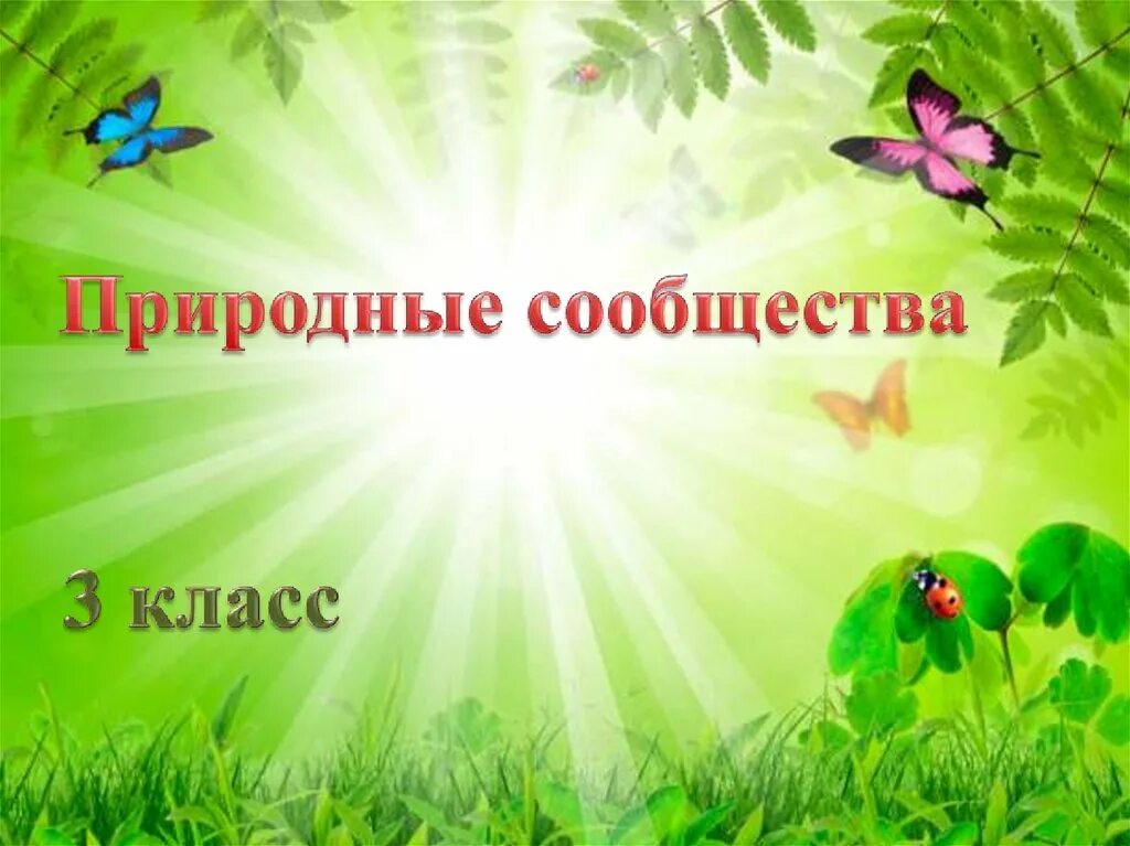 Природные сообщества видео 5 класс. Природные сообщества. Сообщества окружающий мир. Природные сообщества 3 класс. Природные сообщества, природа и человек.