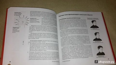 Голос книги программы