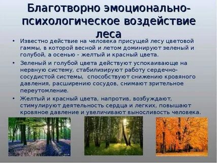 Влияние человека на ландшафт кратко