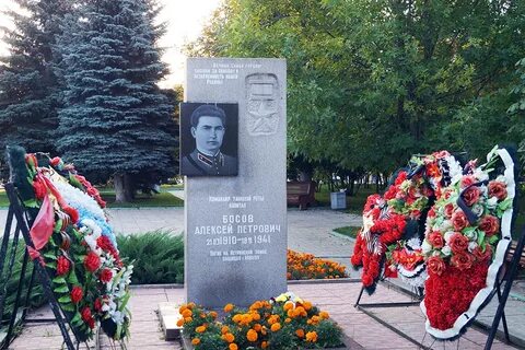 Босов истра
