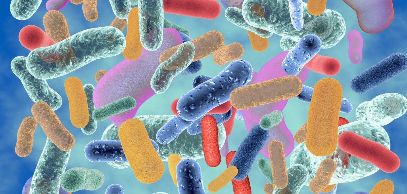Микробиота бактерии. Первые бактерии. Красивые микроорганизмы. Что такое индикаторный микроорганизм.