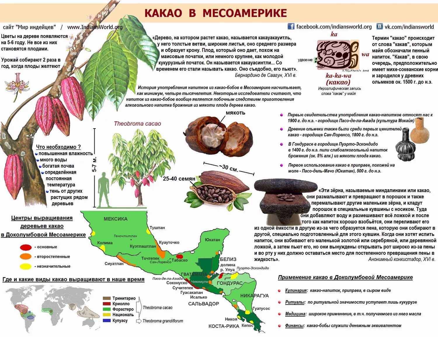 Какао Бобы произрастание. Где растут какао Бобы карта. Где растет какао на карте. Какао Бобы где растут страны. Каучук районы выращивания