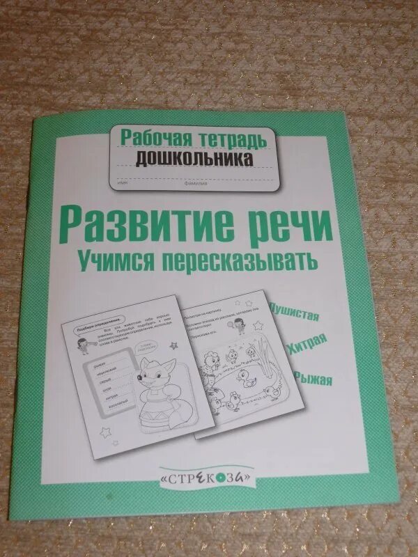 Рабочая тетрадь по развитию речи. Тетрадь по развитию речи для дошкольников. Рабочие тетради для дошкольников. Развитие речи рабочая тетрадь.