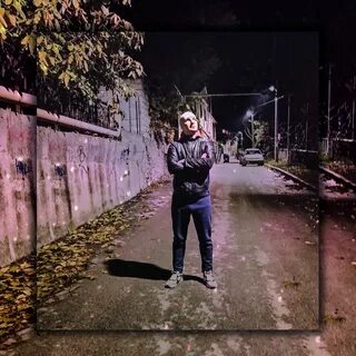 Песни крица